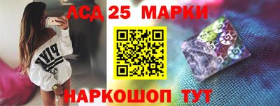 PSILOCYBIN Гатчина