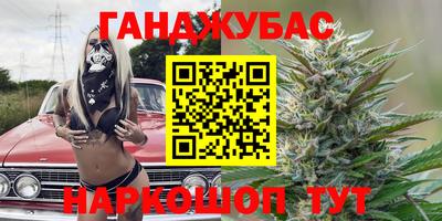 PSILOCYBIN Гатчина