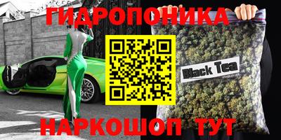 PSILOCYBIN Гатчина