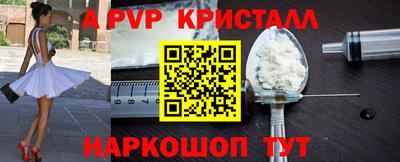 PSILOCYBIN Гатчина