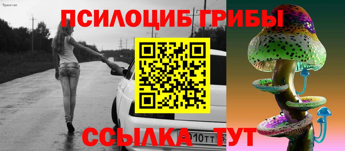 Галлюциногенные грибы GOLDEN TEACHER  Вход с VPN  Моздок 